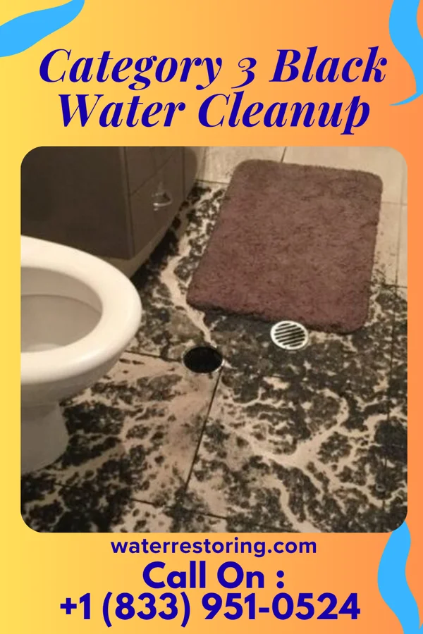 Category 3 Black Water Cleanup in Wyoming, IA