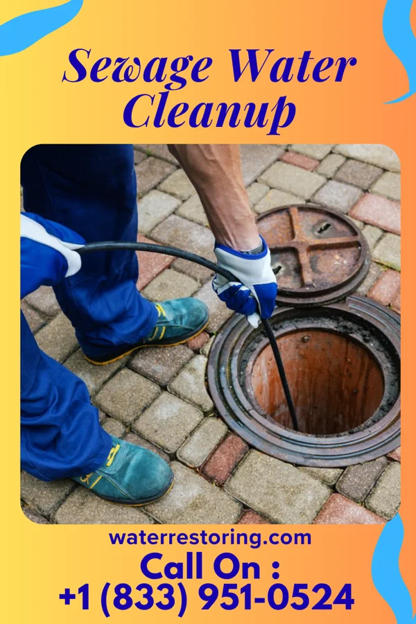 Sewage Water Cleanup in Wyoming, IA
